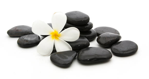 istock spa stones and beautiful plumeria on white background 870993638