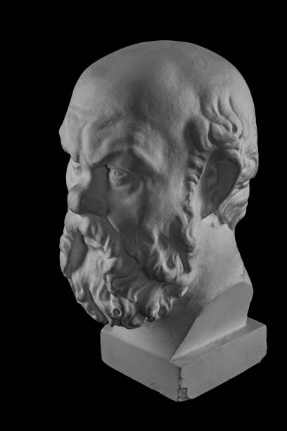 istock White plaster bust, sculptural portrait of Socrates 870996284
