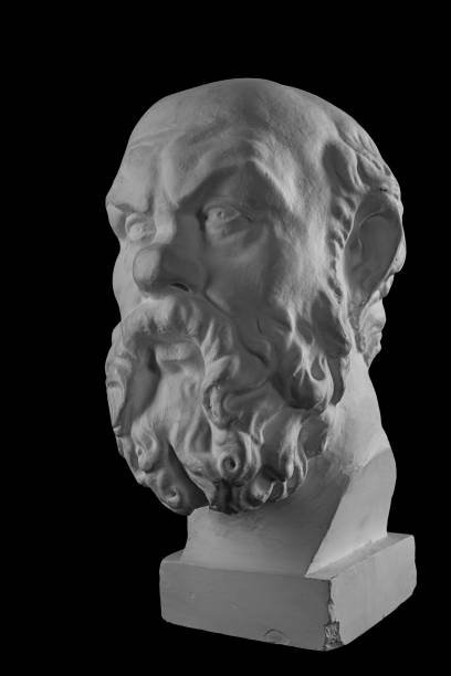 istock White plaster bust, sculptural portrait of Socrates 870996500