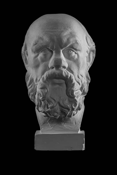 istock White plaster bust, sculptural portrait of Socrates 870999010