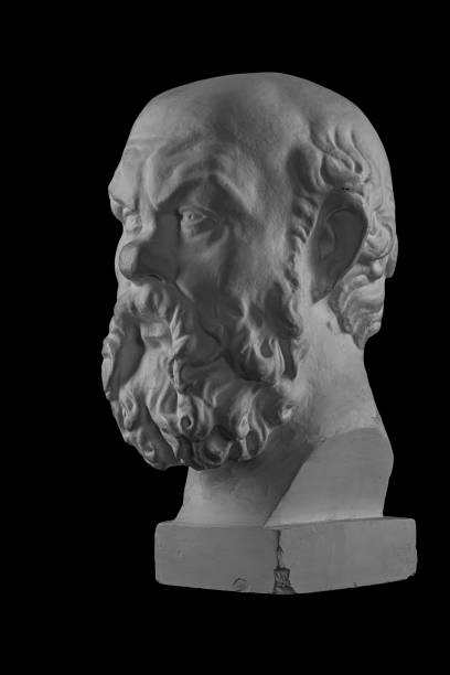 istock White plaster bust, sculptural portrait of Socrates 870999136
