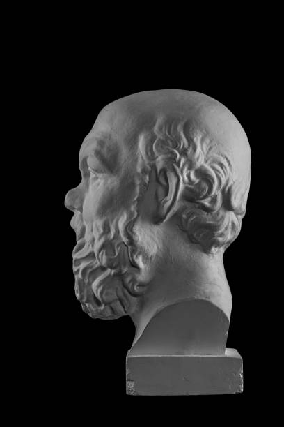 istock White plaster bust, sculptural portrait of Socrates 870999278