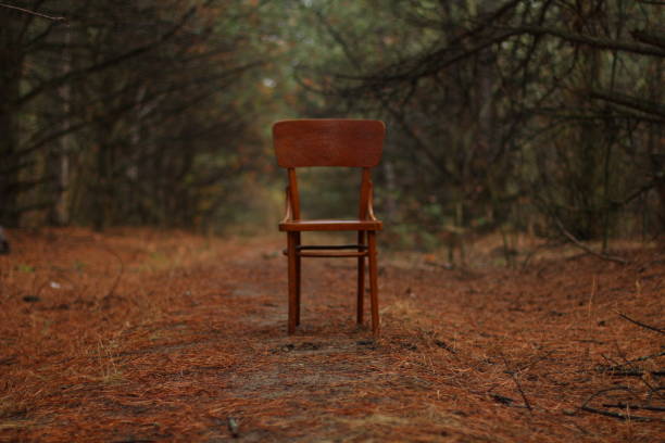 istock The chair was in the woods 871001890