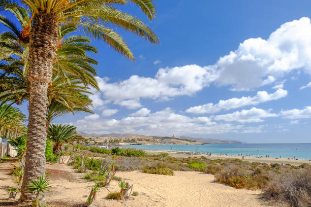 strand costa calma auf der kanarischen insel fuerteventura, spanien. - fuerteventura stock-fotos und bilder