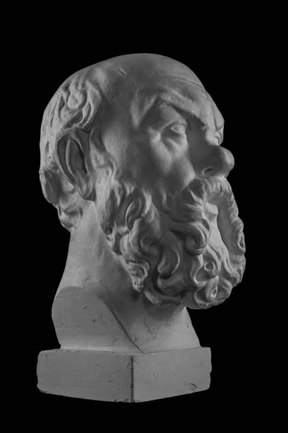 istock White plaster bust, sculptural portrait of Socrates 871005714