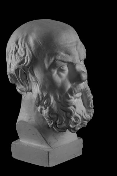 istock White plaster bust, sculptural portrait of Socrates 871005748