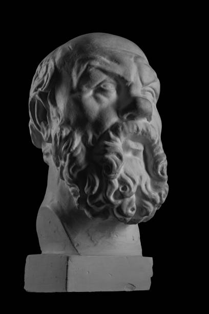 white plaster bust, sculptural portrait of socrates - plato philosopher statue greek culture imagens e fotografias de stock