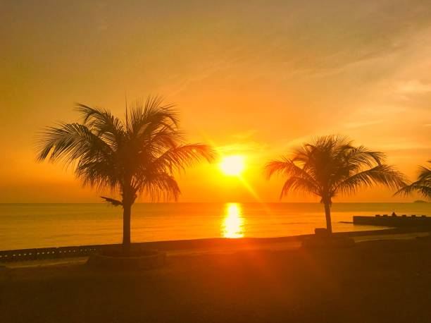 istock sunset on the beach with coconut trees 871009140