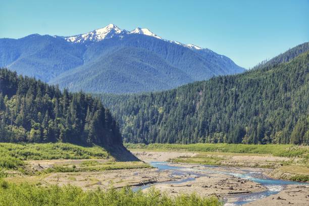 istock Snowcapped Olympic Mountains, Olympic National Park, River Valley, Washington 871012764