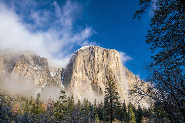 istock Yosemite National Park in winter 871013054