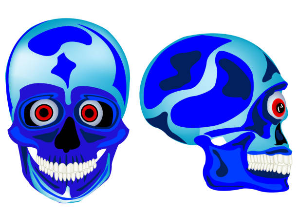 istock Cartoon skull of the person in front and profile 871019162