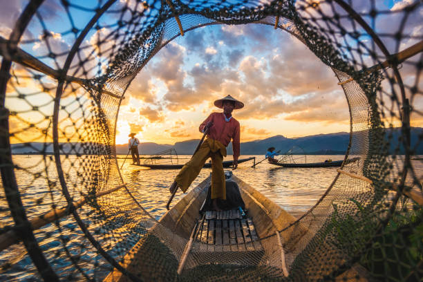 inle lake intha rybaków o zachodzie słońca w birmie (birma) - skill agriculture horizontal outdoors zdjęcia i obrazy z banku zdjęć