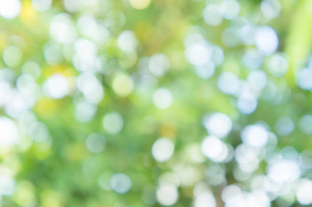 istock abstract texture nature blur green color and bokeh nature background 871025402
