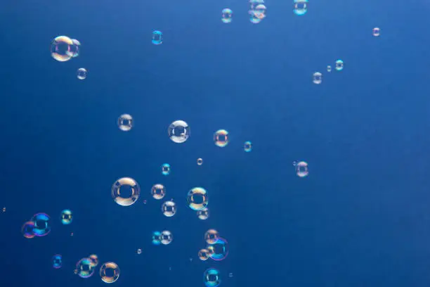 Soap bubbles floating over a blue background