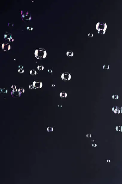 Soap bubbles floating over a black background