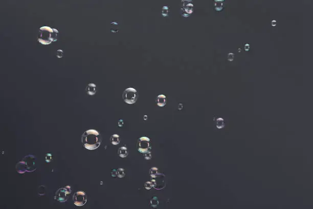 Soap bubbles floating over a dark gray background