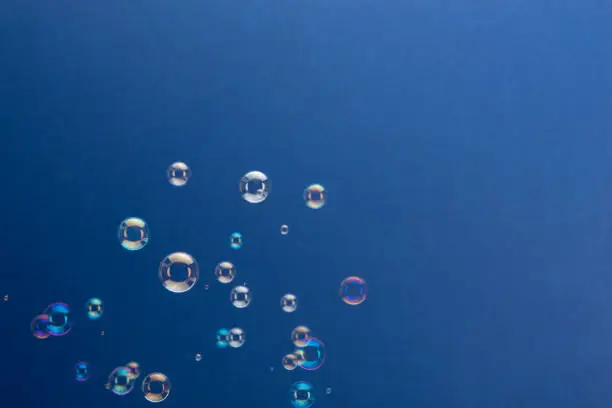 Rising soap bubbles over a blue background