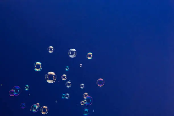 Rising soap bubbles over a dark blue background