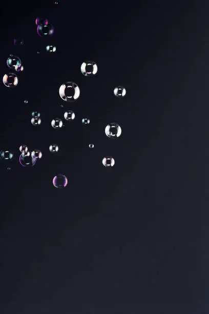 Floating soap bubbles over a black background