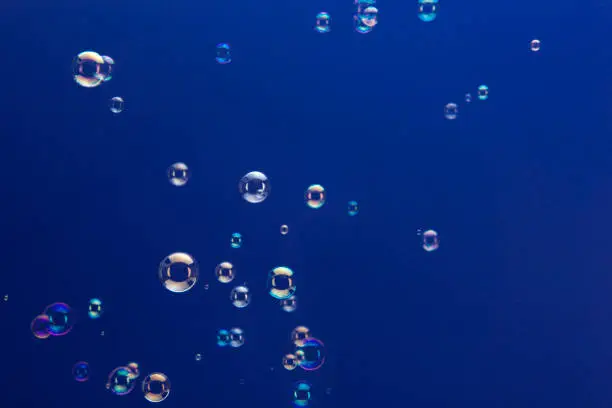 Soap bubbles floating over a dark blue background