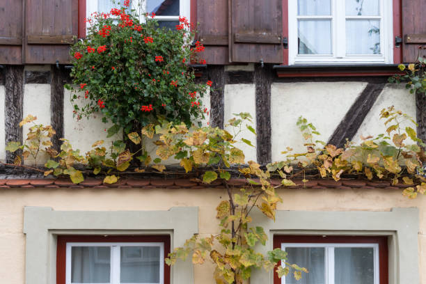 istock facades architecture and windows of framework buildings 871040350