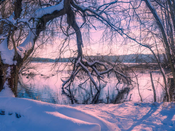 istock Winter at the lake shore 871043748