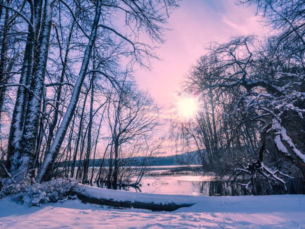istock Winter at the lake shore 871043780