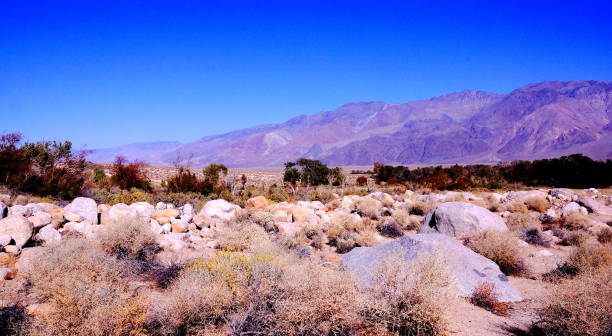 istock Entrance to Alabama hills. 871049672