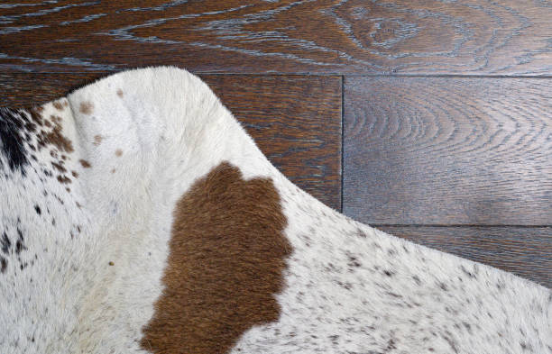 Zebu silver cowhide leather and hair details with brown engineered hardwood floor. stock photo