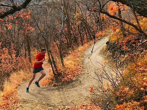 a man running in the forest in fall negotiates a hairpin turn.