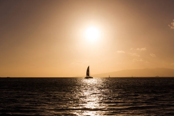 barco a vela ao pôr-do-sol - 3695 - fotografias e filmes do acervo