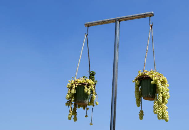 Hanging flower pot basket stand. Flowers in garden