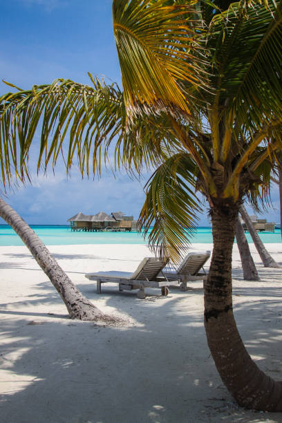 istock Maldives Island Resort 871070518
