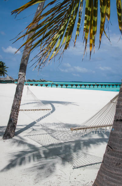 istock Maldives Island Resort 871070614