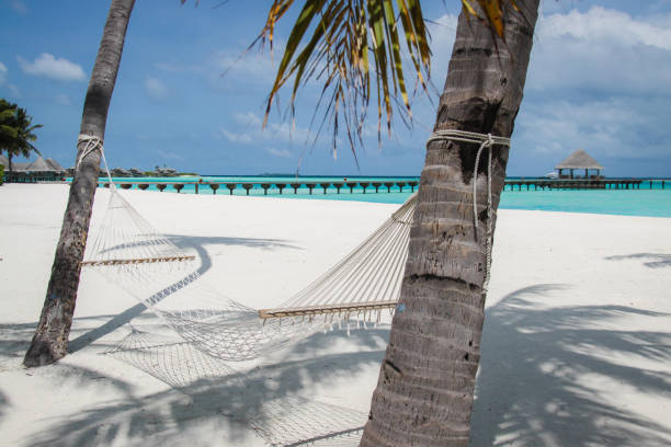 istock Maldives Island Resort 871070628