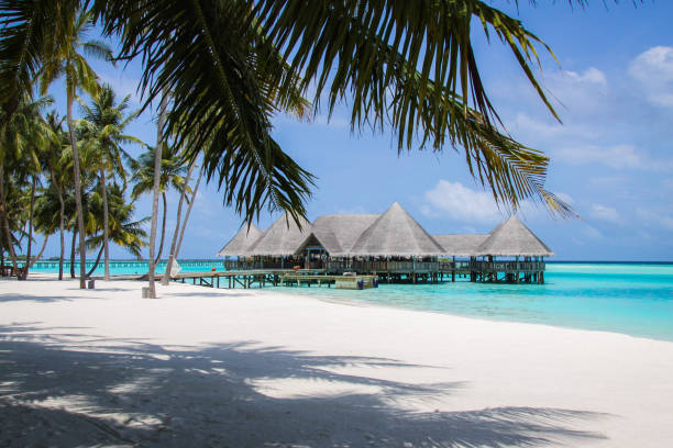 istock Maldives Island Resort 871070802