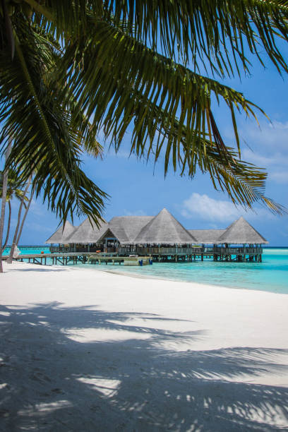istock Maldives Island Resort 871070938
