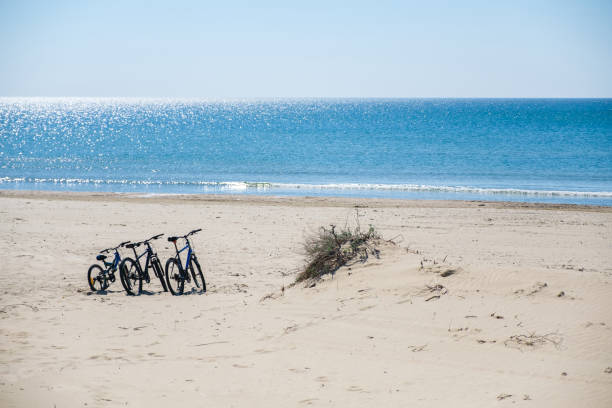 istock Three bicycles are on the beach on sea background 871072108