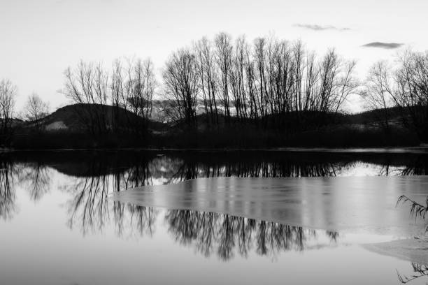 Black and white photo of the lake at Stourhead house and gardens in Wiltshire