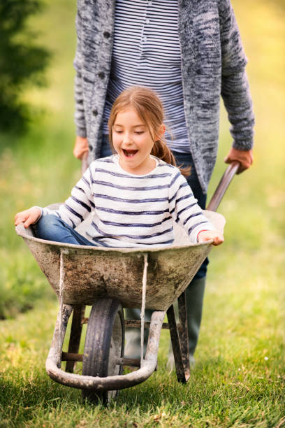 istock Grandfather pushing his grandaughter in a wheelbarrow. 871090726