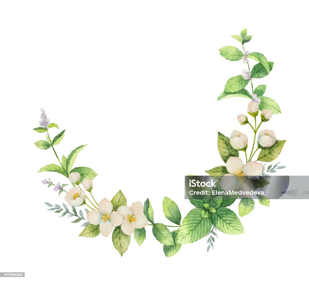 Watercolor vector wreath of flowers and branches Jasmine isolated on a white background. Watercolor vector wreath of flowers and branches Jasmine isolated on a white background. Floral illustration for design greeting cards, wedding invitations, natural cosmetics, packaging and tea. Jasmine stock vector