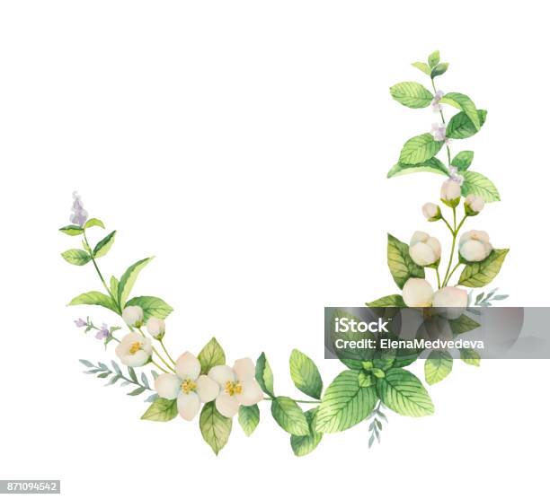 Watercolor Vector Wreath Of Flowers And Branches Jasmine Isolated On A White Background Stock Illustration - Download Image Now