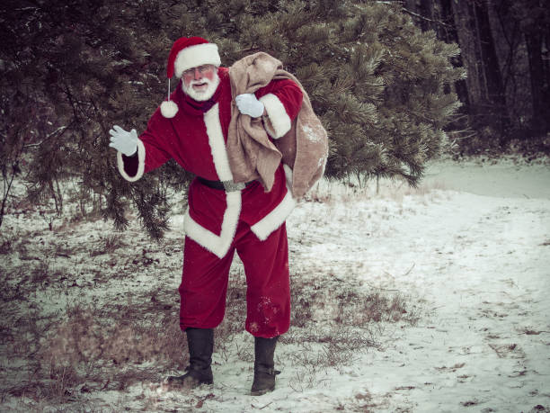 istock Tired Santa Claus coming out from a winter forest 871094674