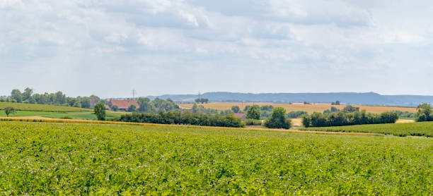 istock agricultural scenery in Hohenlohe 871098574