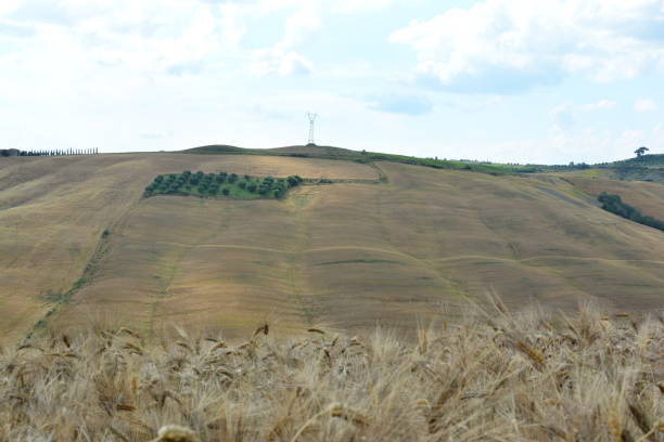 istock colors of the Tuscan hills 871101984
