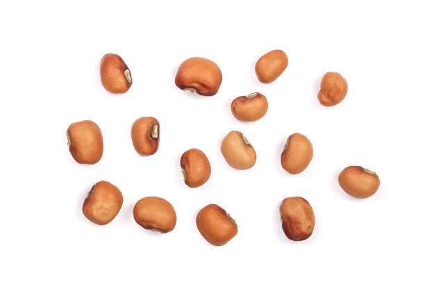 istock soybeans isolated on white background top view 871104966