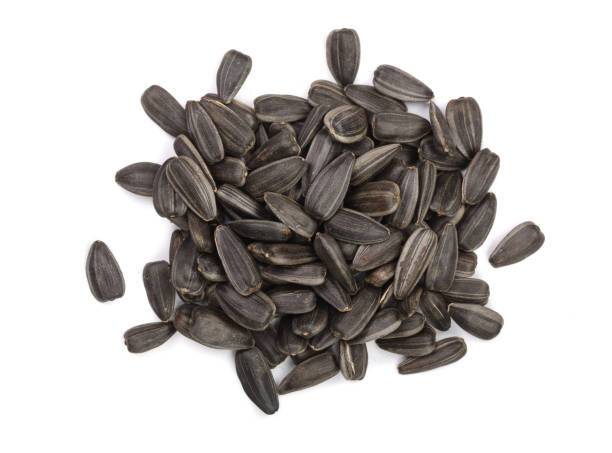 istock Sunflower seeds isolated on white background. Top view 871105328