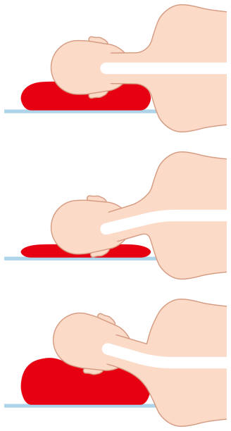 High pillow and low pillow High pillow and low pillow 背中 stock illustrations