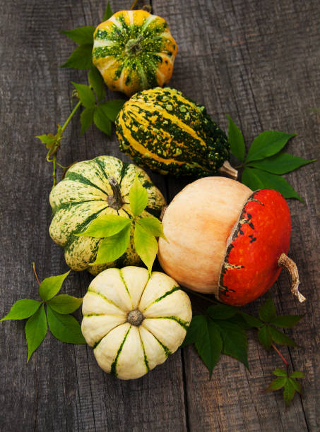 istock Pumpkins with autumn leaves 871109770