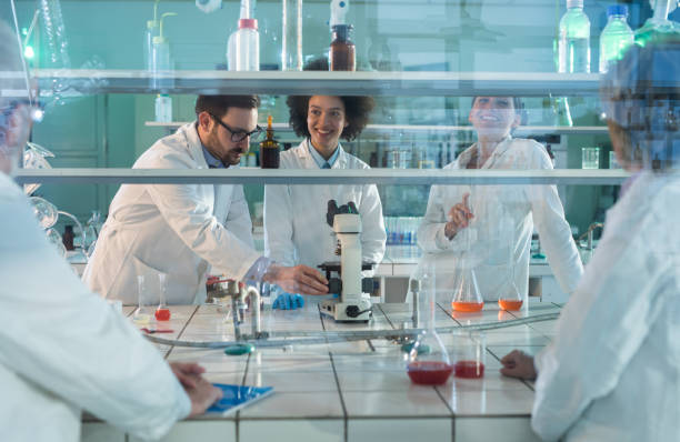 istock Team of happy lab workers talking in laboratory. 871113498